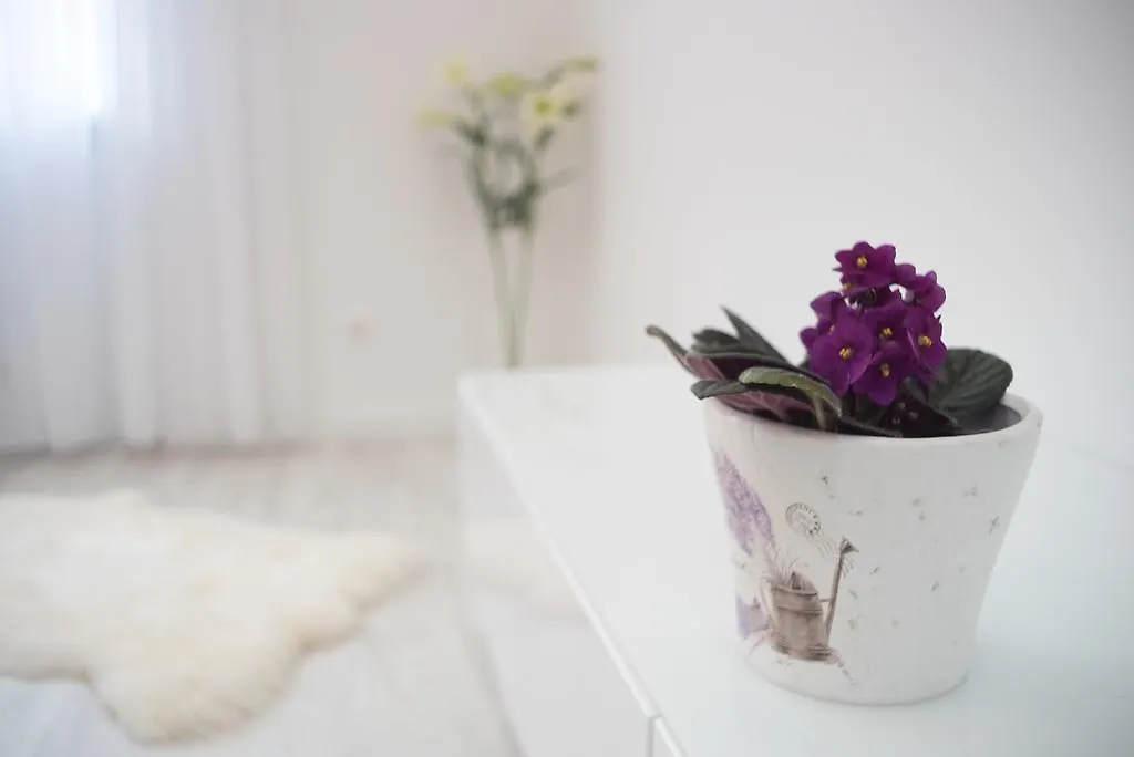 Sofia Apartment Budapest